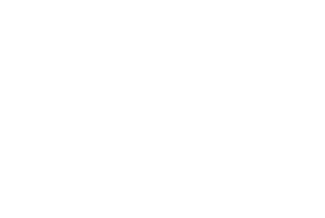 DS